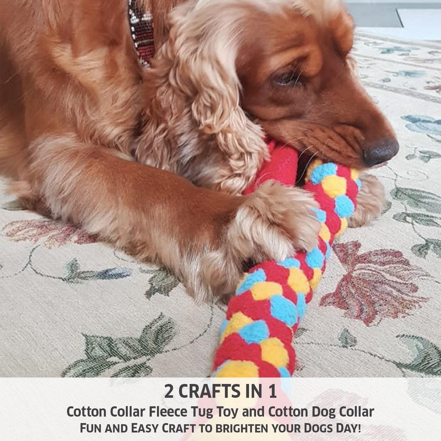 Chalk And Chuckles Pawfect Gift DIY Craft Kit for Kids and Pet Lovers Canvazo